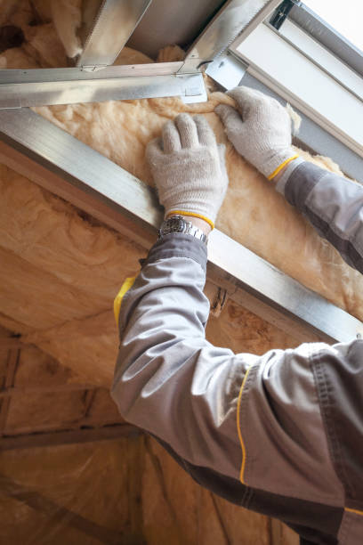 Best Cellulose Insulation in Clinton, OH
